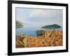 View From The Top Of The World-kirilstanchev-Framed Art Print