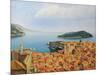 View From The Top Of The World-kirilstanchev-Mounted Art Print