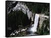 View from the Top of Vernal Falls-Gerald French-Framed Stretched Canvas