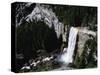 View from the Top of Vernal Falls-Gerald French-Stretched Canvas