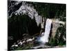 View from the Top of Vernal Falls-Gerald French-Mounted Photographic Print