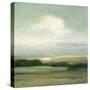 View from the Top-Julia Purinton-Stretched Canvas