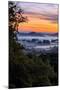 View From The Trees, Sunrise Petaluma Hills, Sonoma County-Vincent James-Mounted Photographic Print