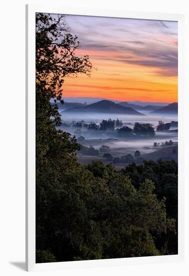 View From The Trees, Sunrise Petaluma Hills, Sonoma County-Vincent James-Framed Photographic Print