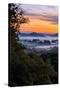 View From The Trees, Sunrise Petaluma Hills, Sonoma County-Vincent James-Stretched Canvas