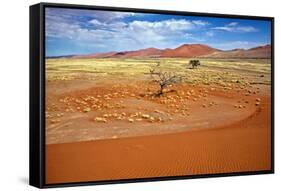 View from the Une 45 near Sossusvlei Namibia Africa-photogallet-Framed Stretched Canvas