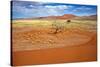 View from the Une 45 near Sossusvlei Namibia Africa-photogallet-Stretched Canvas