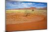 View from the Une 45 near Sossusvlei Namibia Africa-photogallet-Mounted Photographic Print