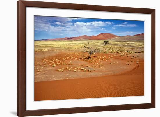 View from the Une 45 near Sossusvlei Namibia Africa-photogallet-Framed Photographic Print