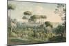 View from the Villa Melini of Rome, 1818/19-Johann Georg von Dillis-Mounted Giclee Print