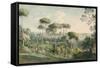 View from the Villa Melini of Rome, 1818/19-Johann Georg von Dillis-Framed Stretched Canvas