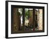View from the Window at Pienza, Tuscany-Anna Siena-Framed Giclee Print