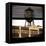 View from the Window - Brooklyn-Philippe Hugonnard-Framed Stretched Canvas