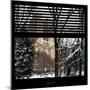 View from the Window - Central Park Buildings-Philippe Hugonnard-Mounted Photographic Print