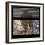 View from the Window - Central Park Buildings-Philippe Hugonnard-Framed Photographic Print