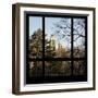 View from the Window - Central Park in Autumn-Philippe Hugonnard-Framed Photographic Print