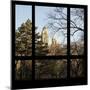 View from the Window - Central Park in Autumn-Philippe Hugonnard-Mounted Photographic Print