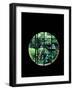 View from the Window, Tentokuin Temple, Kyoto, Japan-null-Framed Premium Photographic Print