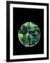 View from the Window, Tentokuin Temple, Kyoto, Japan-null-Framed Photographic Print