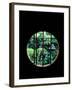 View from the Window, Tentokuin Temple, Kyoto, Japan-null-Framed Photographic Print