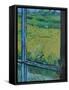 View from the Window-Brenda Brin Booker-Framed Stretched Canvas