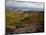 View from Top of Cadillac Mountain-James Randklev-Mounted Photographic Print