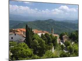 View from Town Walls, Motovun, Istria, Croatia, Europe-Stuart Black-Mounted Photographic Print