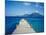 View from Turtle Bay, St. Kitts, Caribbean-David Herbig-Mounted Photographic Print