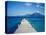 View from Turtle Bay, St. Kitts, Caribbean-David Herbig-Stretched Canvas