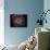 View from under the Dome-null-Mounted Photographic Print displayed on a wall