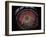 View from under the Dome-null-Framed Photographic Print