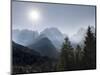 View from Val Rendena towards the Brenta Dolomites. Italy, Trentino, Val Rendena-Martin Zwick-Mounted Photographic Print