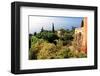 View from Villa Hanbury at Hanbury Botanic Gardens near Ventimiglia, Liguria, Italy-null-Framed Art Print