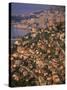 View from Vista Palace Hotel, Monaco-Walter Bibikow-Stretched Canvas