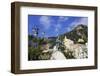 View from Waterfront to Statue-Eleanor Scriven-Framed Premium Photographic Print