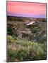 View from Woodhawk Point, Missouri River, Upper Missouri Breaks National Monument, Montana, USA-Scott T. Smith-Mounted Photographic Print