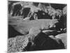 View From Yava Point Rock Formations And Valley "Grand Canyon National Park" Arizona. 1933-1942-Ansel Adams-Mounted Art Print