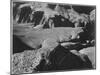 View From Yava Point Rock Formations And Valley "Grand Canyon National Park" Arizona. 1933-1942-Ansel Adams-Mounted Art Print