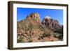 View from Zion Park Boulevard, Zion National Park, Utah, United States of America, North America-Eleanor Scriven-Framed Photographic Print