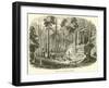 View in a Canadian Forest-null-Framed Giclee Print