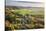 View in autumn over the village of Corton Denham and countryside at sunset, Corton Denham, Somerset-Stuart Black-Stretched Canvas