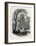 View in Chester Square, Boston, USA, 1870s-null-Framed Giclee Print