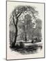 View in Chester Square, Boston, USA, 1870s-null-Mounted Giclee Print