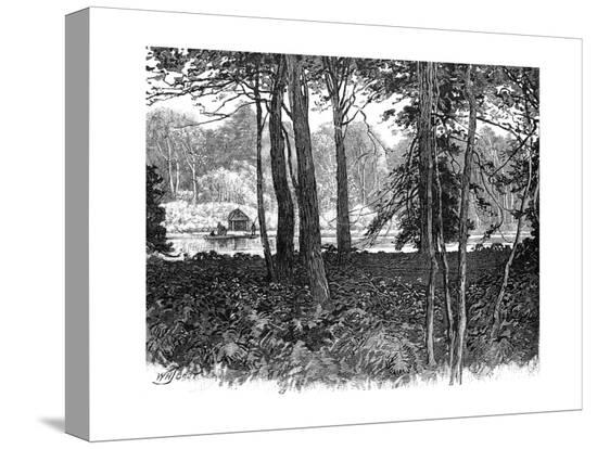 Stretched Canvas Print, , large