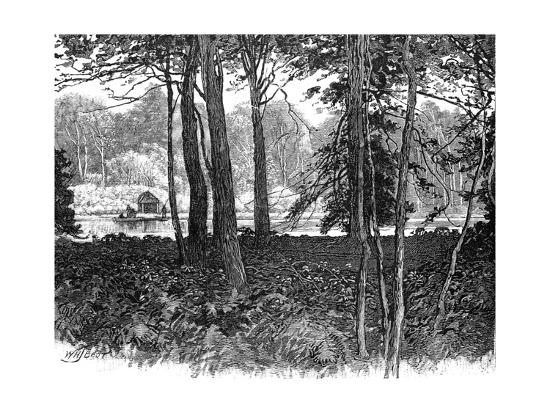 Premium Giclee Print, , large