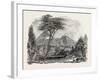 View in Crofton Park, New Zealand, 1851-null-Framed Giclee Print