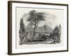 View in Crofton Park, New Zealand, 1851-null-Framed Giclee Print