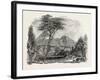 View in Crofton Park, New Zealand, 1851-null-Framed Giclee Print