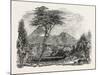 View in Crofton Park, New Zealand, 1851-null-Mounted Giclee Print