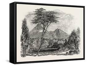 View in Crofton Park, New Zealand, 1851-null-Framed Stretched Canvas